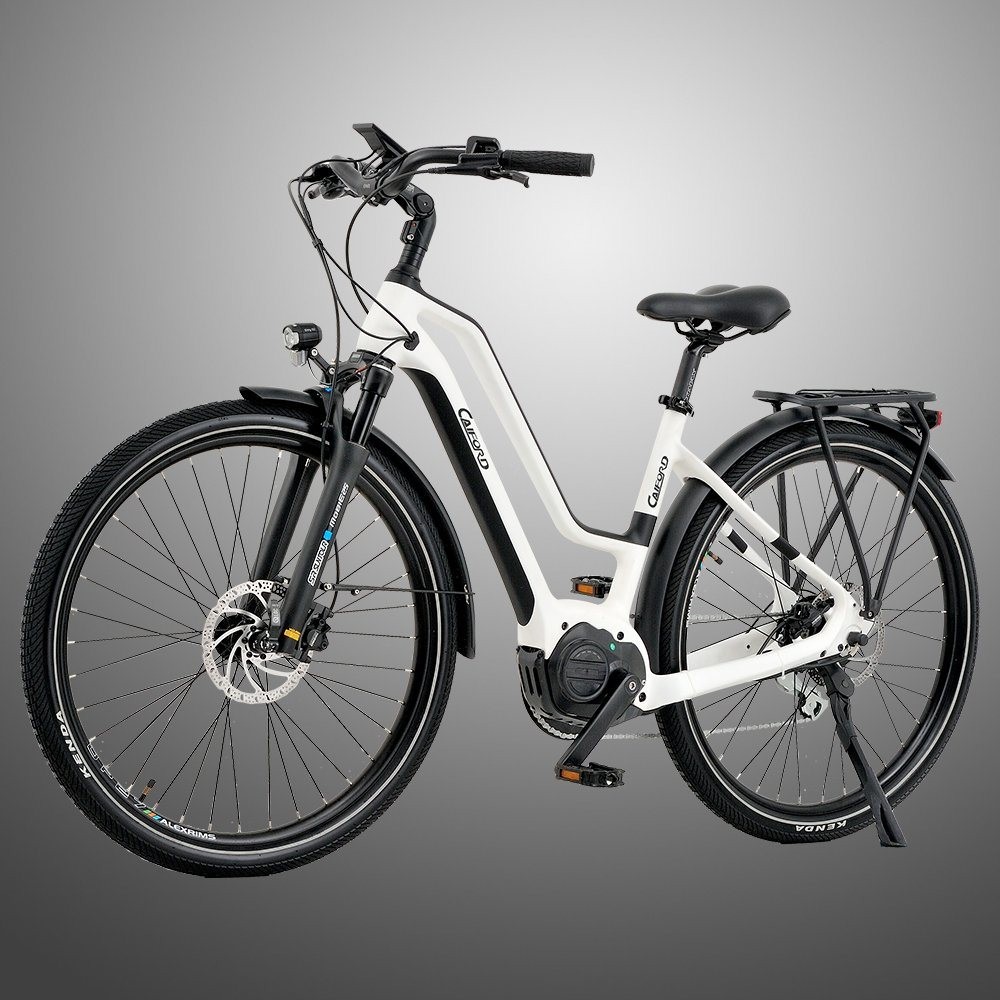 700c*45c Rear Drive Carbon Electric Bicycle Hydraulic Disc-Brake, Tektro Front Suspension Fork
