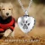 Import 925 Sterling silver heart necklace  love pet forever cremation urn necklace LYN0900 from China