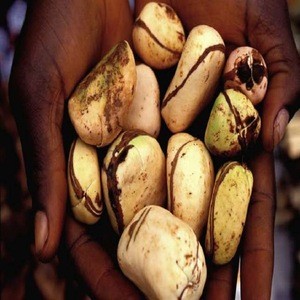 Agricultural Kola Nuts Available