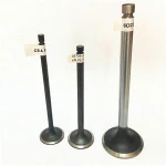 agricultural machinery engine parts for tractor john deere engine valve 844K AE30220