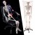 Import Aid Human Model Anatomy Medical Learn Anatomical Skeleton Stand Poster from China