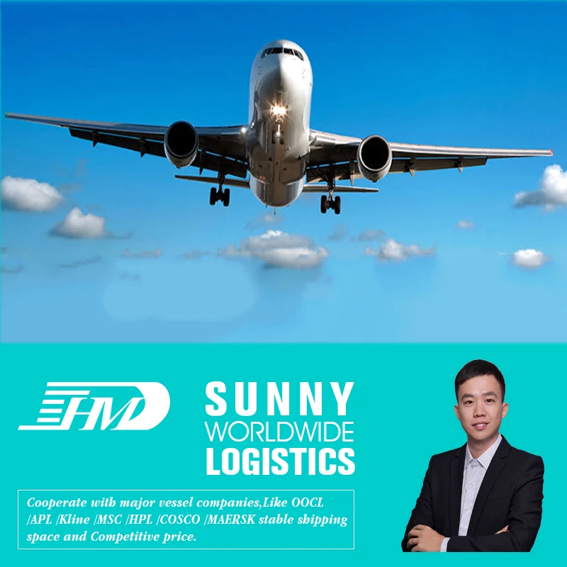 Air cargo freight forwarding company door to door service in China to global