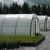 Import Anti water 6 mil Thickness Overwintering Film Waterproof Greenhouse Film For Tomato from China