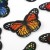 Import Apparel Garment Accessories Patches Colorful Butterfly Patch Embroidery Hat Patches For Clothing Applique from China