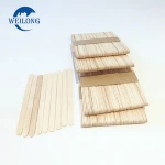 Art Ice Cream Tools custom popsicle sticks