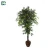 Import artificial plants cheap price Artificial plant,artificial tree,decorative plastic pothos plant potted from China