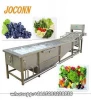 Automatic Fresh Chives, Spinach Continuous Cleaning, Cabbage, Celery Washing Machine