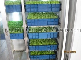 Automatic grass fodder making machine / hydroponic barley fodder growing system for cattle,goats,sheep,rabbits,livestock