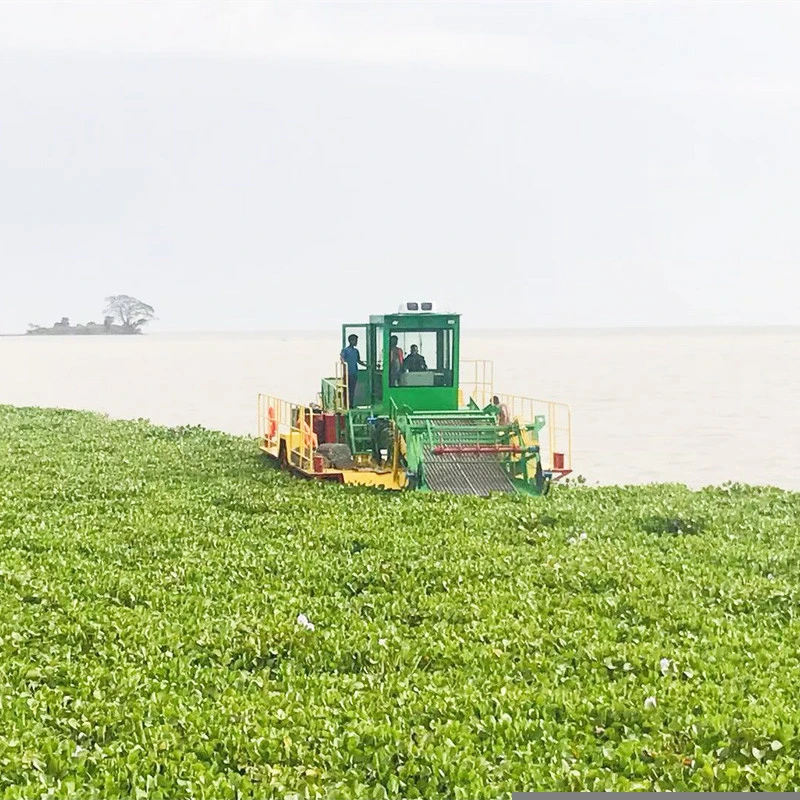 Automatic River Weed /Water Hyacinth Harvester
