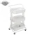 Import Beauty Equipment Salon Trolley Hair Salon Rolling Cart Trolley from China