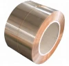 Beryllium Copper price C17200 strips