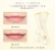 Import Best lip care natural organic lip balm with shea and honey from China