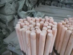 Best price of Wooden Round Eucalyptus Logs