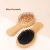 Import Best Selling 100% Eco friendly Custom LOGO Natural Bristle Bamboo Scalp Massager Hair Brush Small Wild Boar Bristle Brush comb from China