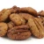 Import Best Selling Premium Quality Pecan Nut Direct Wholesale prices cheapest price. from Canada
