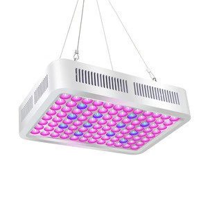 Big Discount Double Chips LED Plant Grow Lamp LED Grow Light for Indoor Garden