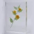 Import biology plants specimen teaching resources plant acrylic embedded specimen from China