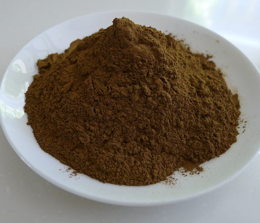 Black Radish Extract Powder 5:1 / Raphanus sativus L. / herb plant high quality fresh goods large stock factory supply