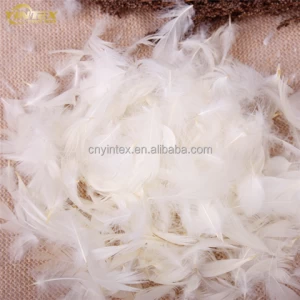 Bluk no smell duck feather Sofa cushion filling duck feather