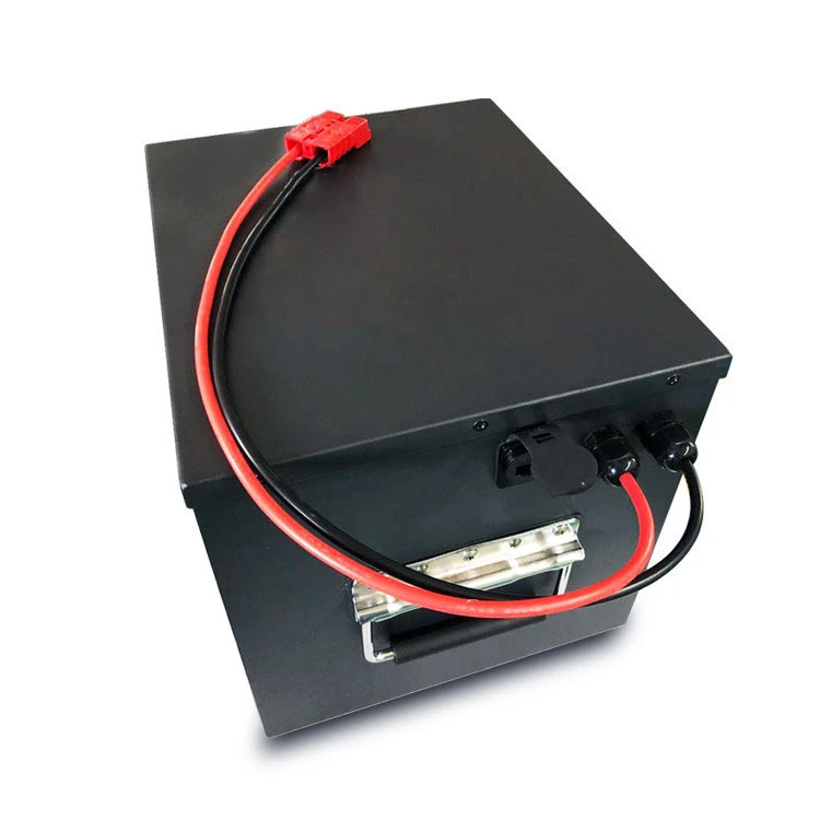 BMS Built-in Lithium Batteries Boat Motors Deep Cycle Marine Battery LiFePO4 51.2V 50Ah for Yacht Fishing Vessel