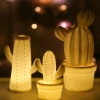 Bright ceramic LED lighted cactus decoration for bedroom decorative lamp
