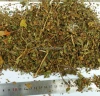 Buckwheat Leaf/Fagopyrum esculentum