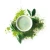 Buy powder MCT matcha green tea