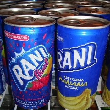 Buy Rani Float - Orange Fruit Drink With Real Fruit Pieces 240 ml Online!!!