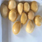 Canned abalone for sale 425g