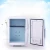 Import Car Mini Mini Refrigerator 4L Home Car Dual Purpose Refrigerator from China