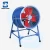 Import Cast Iron Large Airflow Post Type  Warehouse AC Industrial Exhaust Fan Axial Flow Fan from China