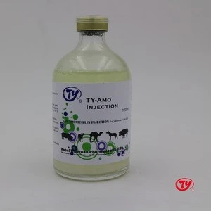 cattle care 150mg weight gain veterinary amoxicillin injection