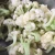 Cauliflower flour  Fresh Green leaf Vegetables Healthy Cauliflower