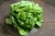 Import Cheap Frozen spinach vegetable from South Africa