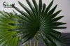 Cheap Plastic Small Ornamental indoor artificial fan Palm plants Leaves / wholesale mini artificial Livistona Plants Trees