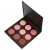 Import Cheap popular 9 colors daily use make up dating blush from China