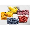 Cheap price industrial fruit/food/medicine lyophilizer freeze dryer