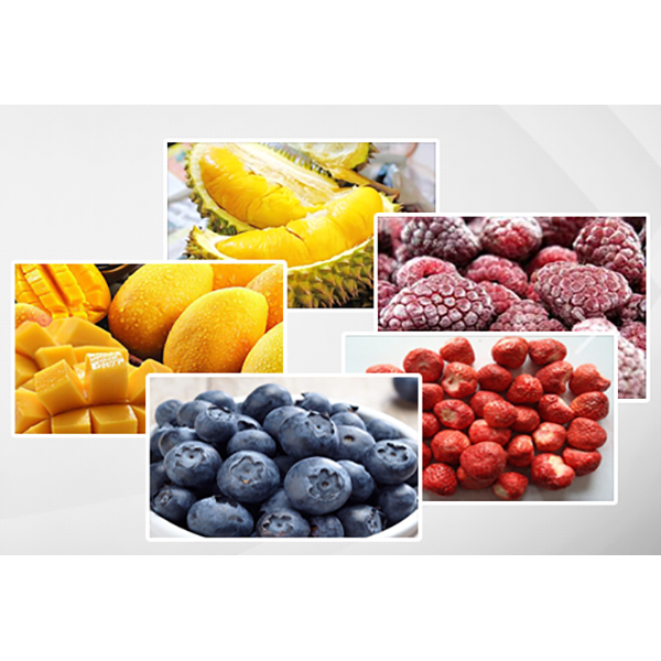 Cheap price industrial fruit/food/medicine lyophilizer freeze dryer