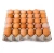 Import Chicken Brown Eggs from Germany