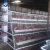 Import Chicken Layer Cages Automatic feeding equipment from USA