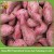 Import China Export Sweet Fresh Potato in mesh bag in carton from China