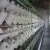 Import China Factory Hot Sale 48s Spun Polyester Yarn from China