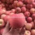 Import China fresh gala fruit apple exporter from China