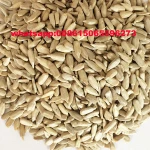 China sunflower kernels