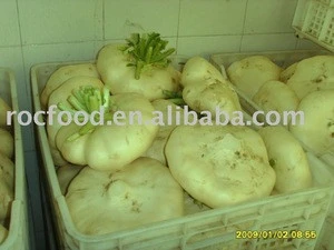 Chinese Fresh Turnip (pan cai)