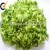 Import Chinese vegetable product bulk dried dehydrated cabbage from China