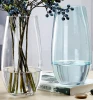 colored glass vase new design