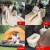 Creative Inflatable Air Car Beds/Inflatable Car Bed Air Mattress In Car
