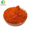Curcumin extraction plant for wholesale price