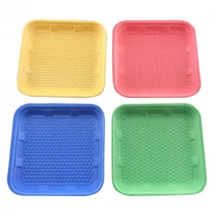 Custom clear absorbent serving fruits disposable EPS food tray packing